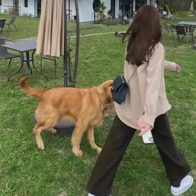 捉妖记海报